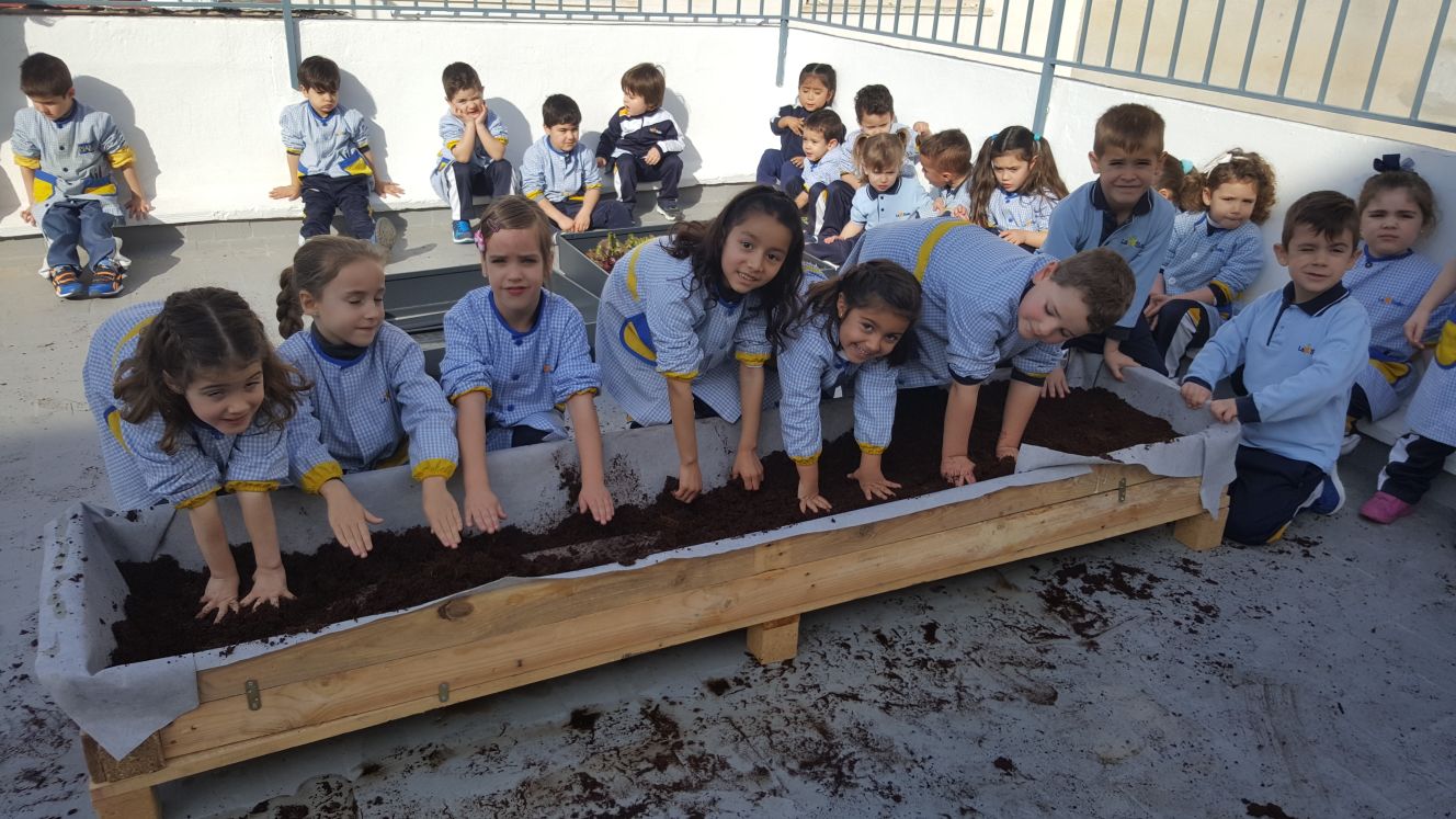 Los alumnos de infantil recogen su primera cosecha en el huerto escolar