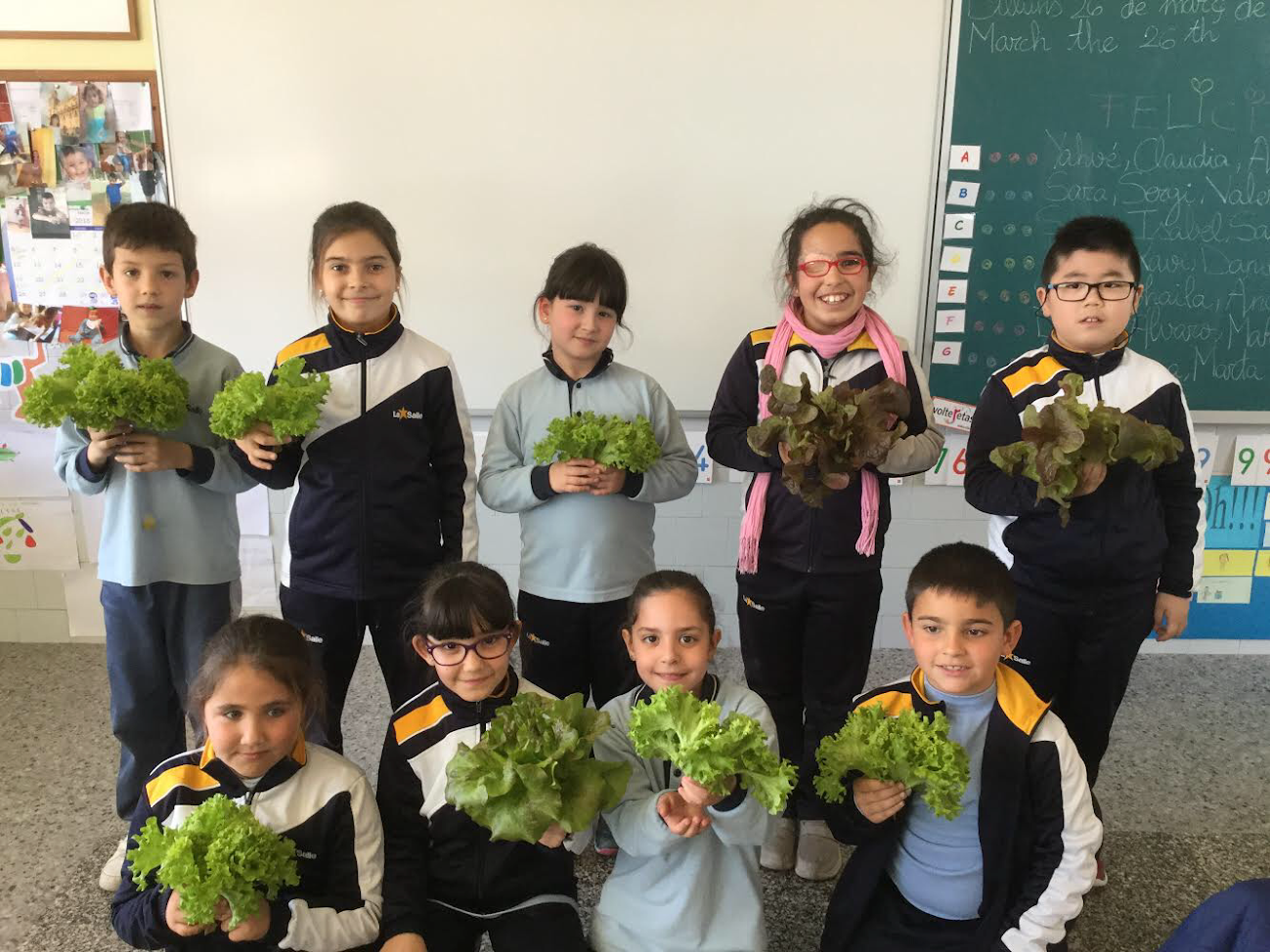 Los alumnos de Primaria recogen la primera cosecha del huerto escolar