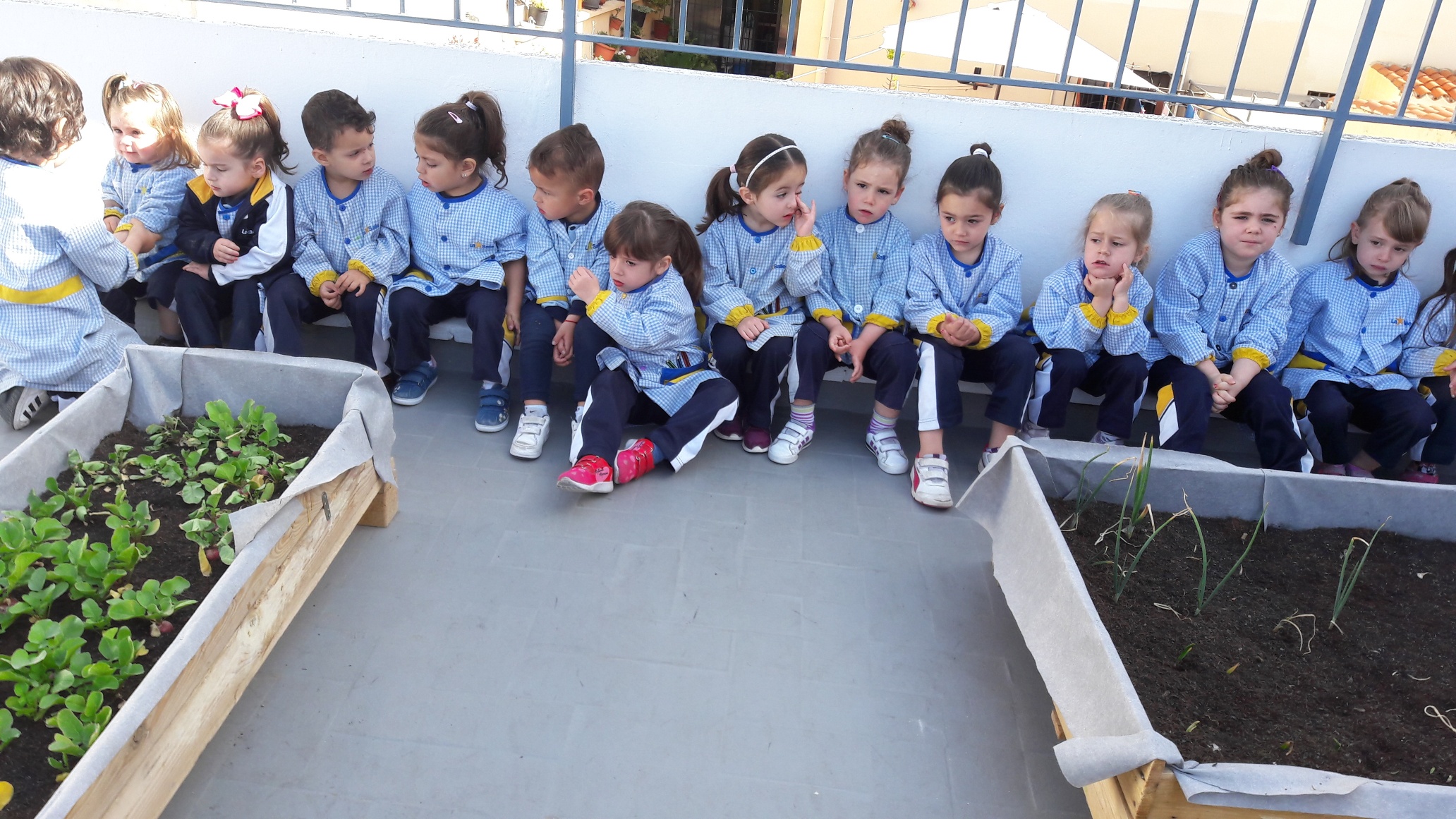 Nueva cosecha en el huerto escolar de la Escuela Infantil Desamparados