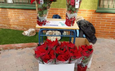 ¡Haz tu reserva online de la Flor de Pascua de la Fundación Novaterra!