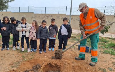 Los niños y niñas de 5 años de infantil, han visitado el parque de Alborxí y han plantado tres árboles