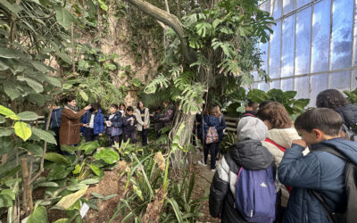 El miércoles 5 de febrero, los alumnos de 5º de Educación Primaria realizaron la actividad de Visita al Jardín Botánico de Valencia