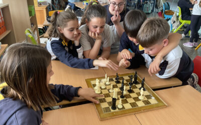 Una semana llena de estrategia, concentración y diversión