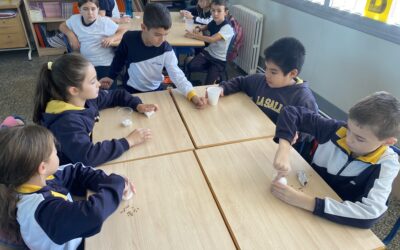 ¡Comenzamos un nuevo proyecto en 3º de Primaria!