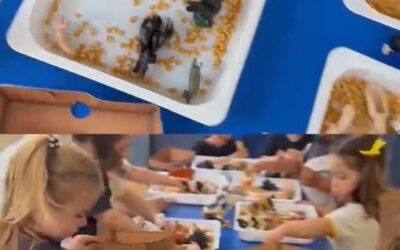 Finaliza con éxito el proyecto de los animales en el aula de 2 años
