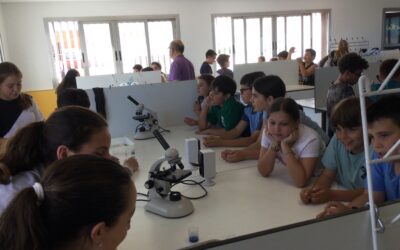5é de Primària i 1r d’ESO descobreixen la cèl·lula al laboratori